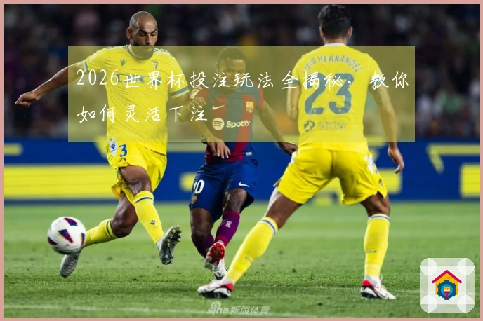 2026世界杯投注玩法全揭秘，教你如何灵活下注