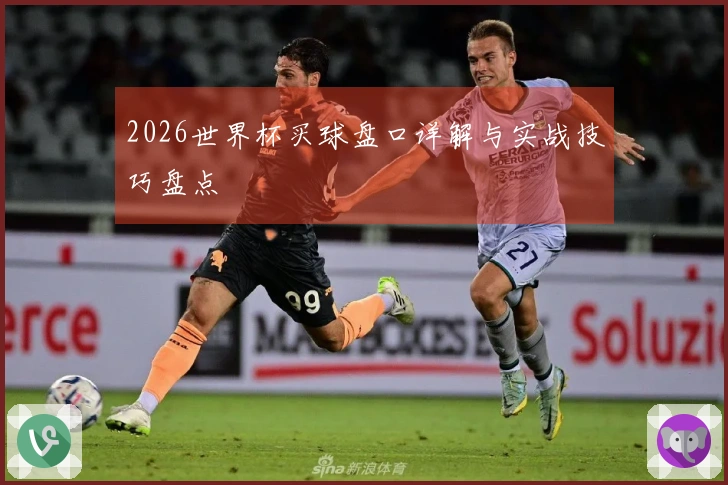 2026世界杯买球盘口详解与实战技巧盘点