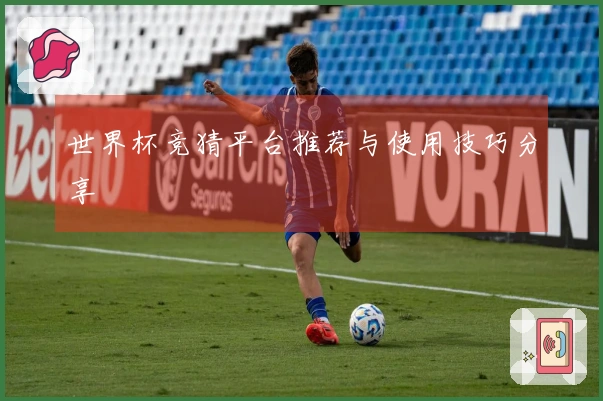世界杯竞猜平台推荐与使用技巧分享