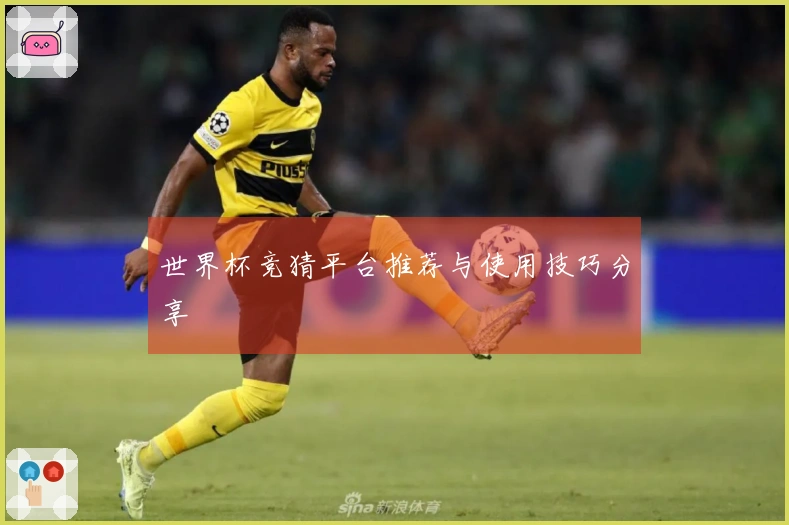世界杯竞猜平台推荐与使用技巧分享