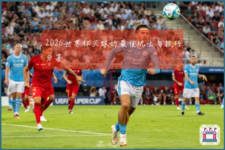2026世界杯买球的最佳玩法与技巧分享